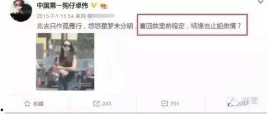 卓伟爆料过宋茜吗视频播放,卓伟爆料宋茜视频播放引发热议  第2张