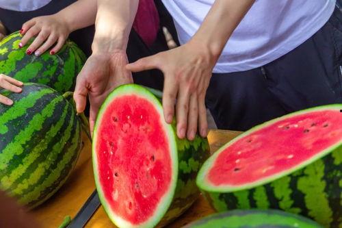 盛世东方曹县免费吃瓜,免费瓜果盛宴，共享盛世东方风采  第1张